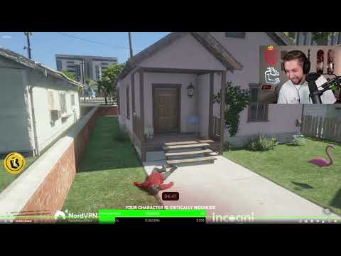 Prodigy Rp Streamers