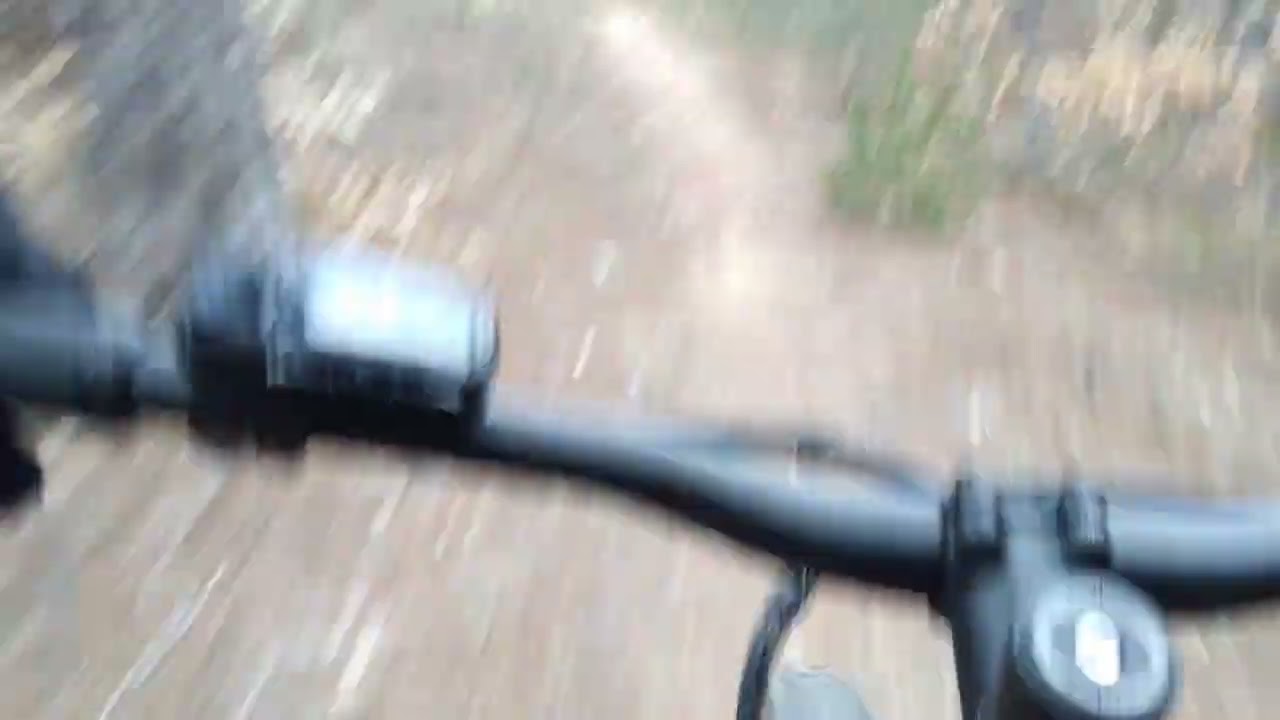 Hardtail E-MTB / 173-190 cm