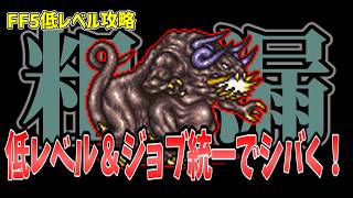 FF5 ツインタニアを低Lv+ジョブ統一でシバいてみた FINAL FANTASY V Make it all the same of job & level1 Twintania