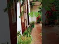 Jab Chali Thandi Hawa Shortvideo Song Status