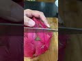 Dragon Fruit Cutting Shorts