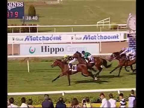 Best Tango Premio Parioli