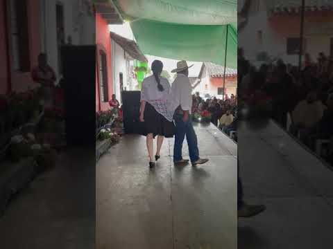 Así se baila en San Esteban Cuautempan Puebla