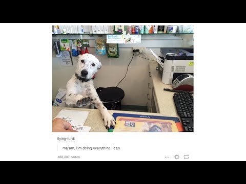 download lagu mp3 mp4 Cute Puppy Tumblr, download lagu Cute Puppy Tumblr gratis, unduh video klip Cute Puppy Tumblr