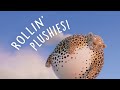 Rollin' Plushies