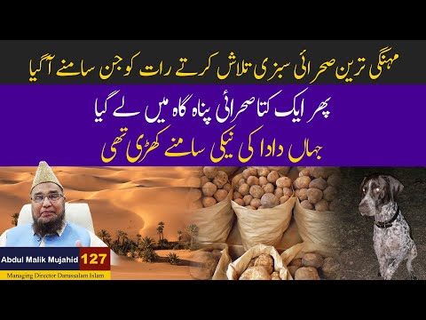 Mehngi Tareen sehrai sabzi Talash karte Jin Samne Aa Gaya | Abdul Malik Mujahid