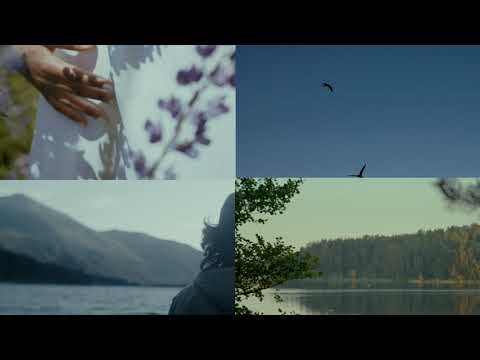 Hior Chronik - Chase the Shadows