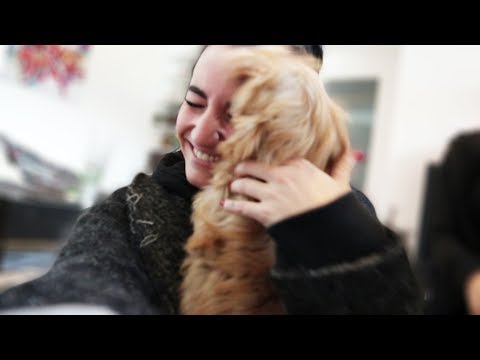 My dream is finally coming true! (It's a puppy)