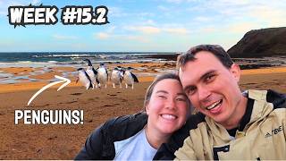 Visiting Phillip Island to See Penguin Parade (World Trip Week 15 Pt. 2)