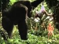 Opening To Winnie The Pooh Storybook Classics 1998 VHS