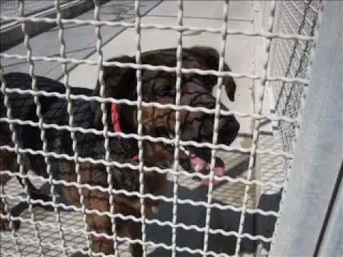 MARGHERITA E E LA SUA STORIA A LIETO FINE