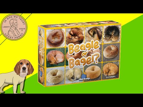How To Play The Game Beagle Or Bagel Family Card Game Play