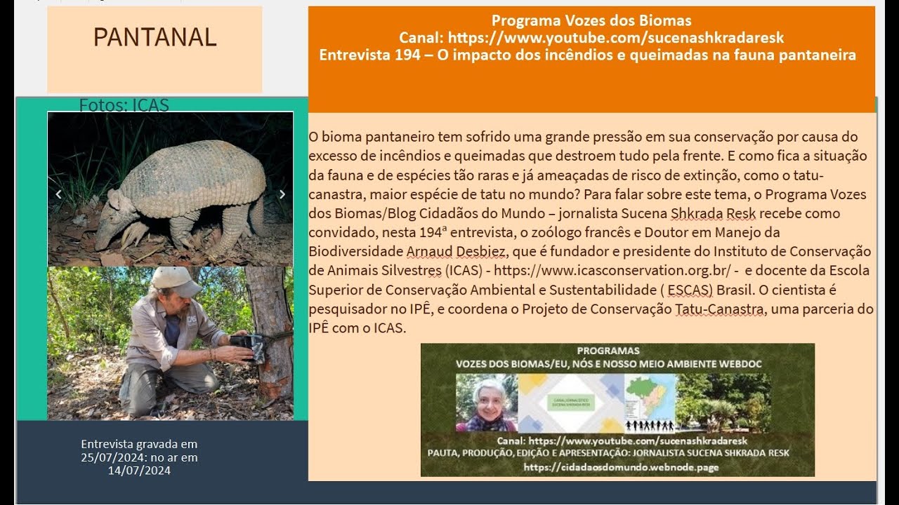 Vozes dos Biomas: o impacto dos incêndios e queimadas na fauna pantaneira (Entr.194: Arnaud Desbiez)