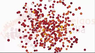 Catequese VI: A cultura da esperança