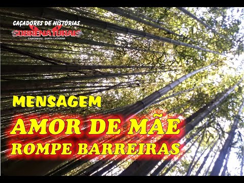 AMOR DE MÃE ROMPE AS PORTAS DO CÉU - ESPIRITUALIDADE SEMPRE.