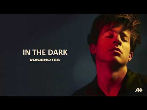 Charlie Puth - In The Dark [Official Audio]