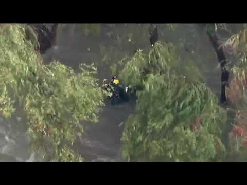 First responders from the Los Angeles Fire Department lifted a man from a rain-swollen river to the safety of their helicopter on Thursday. The man was taken to a local hospital conscious and suffering from hypothermia, fire officials said. (Nov. 29)