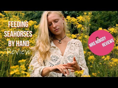 Billie Marten 'Feeding SeaHorses by Hand' | Album Review