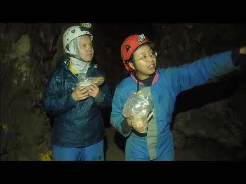 Aven de la Peyrine (Mostuéjouls, Aveyron - 28/07/2025)