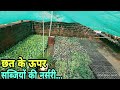 Terrace Nursery House || How to make a vegetable nursery house on terrace