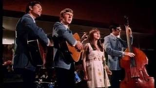 The Seekers When The Stars Begin To Fall 1967