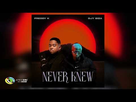 Freddy K and Djy Biza - Nomayini [Feat. Pcee, Justin99 and Vigro Deep] (Official Audio)