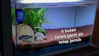 Download lagu Channa Andrao tank settings || undergravel filter || 40x20x20 tank white background red sand mp3