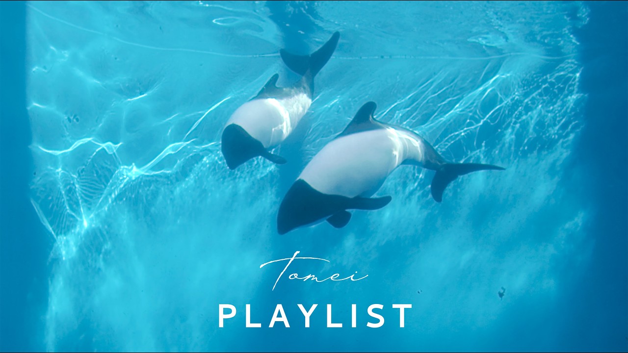 ［Playlist］どこまでも君と、深くへ