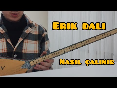 ERİK DALI NASIL ÇALINIR? - SOLFEJ HD (Uzun Sap)