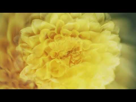 Video thumbnail for Париж (Paris) (String Orchestra Studio Live)