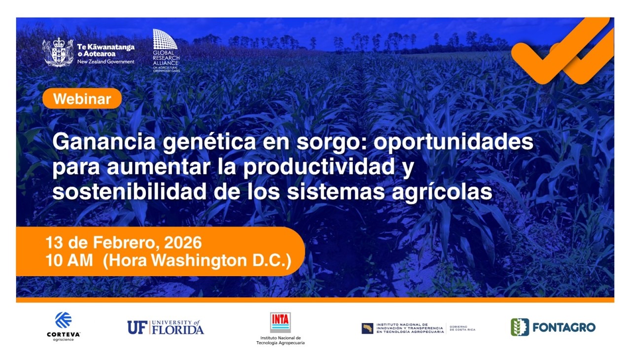 Ganancia genética en sorgo: oportunidades para aumentar la productividad y sostenibilidad agrícola