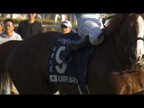 Admire Mars - 2021 Arrowfield Virtual Stallion Parade