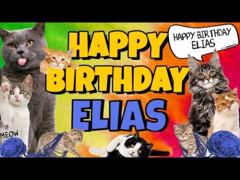 Funny Happy Birthday Elias Song Epic Talking Cats What Is Free On My Birthday