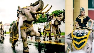 ซาบซึ้งงงง..!! ช้างงางาม 11 เชือก ชูงวงร้องกึกก้องแสดงความอาลัยในหลวง..