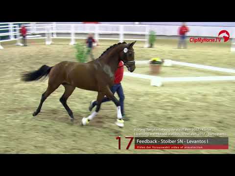 17 Junghengst v. Feedback - Stoiber SN