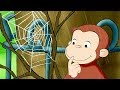 Curious George Curious George Web Master Kids Cartoon Kids Movies Videos For Kids