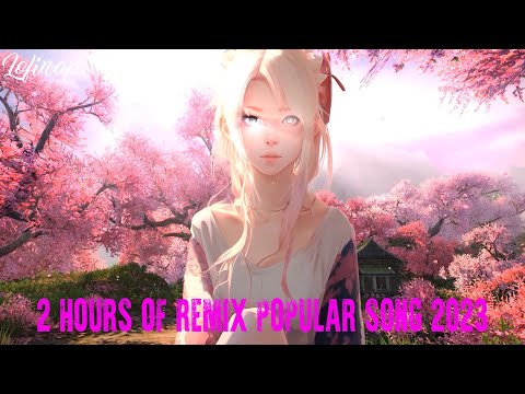 2 Hours of remix popular song 2023