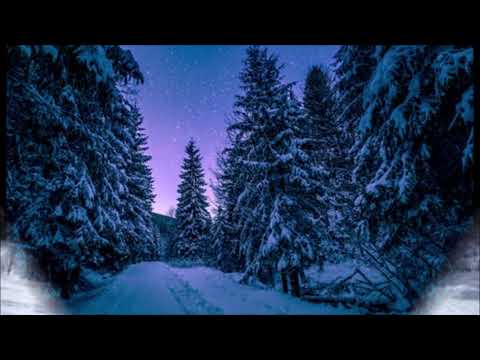 ❄Slavko Avsenik & Seine Original Oberkrainer - Schöne Winterzeit🎄