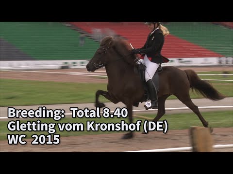 Gletting vom Kronshof, Breeding, WC Icelandic Horses, Islandpferde-WM, VM Islandshästar, 2015