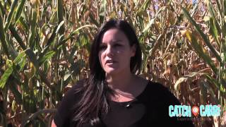 Maize in The City & Haunted Field of Screams