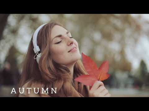 🇩🇪🇫🇮 Mike Koglin, P.O.S - AUTUMN