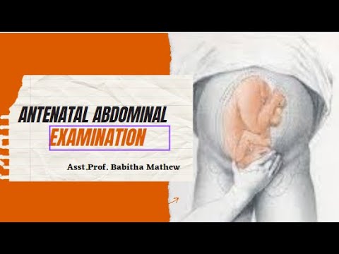 Antenatal Abdominal Examination/Inspection/Palpation/Auscultation