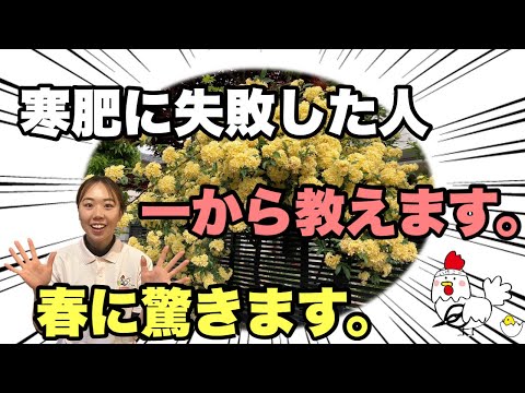 木灰:リスクを伴う園芸肥料 庭の練習
