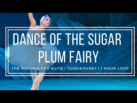 Dance of the Sugar Plum Fairy | Tchaikovsky Nutcracker | 1 Hour Version