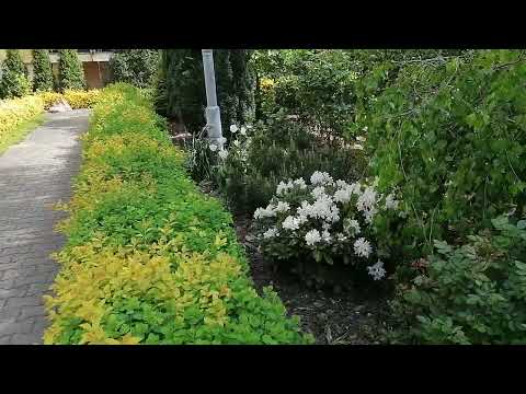 Wrocław, zamknięte Osiedle domów wielorodzinnych przy Krzywoustego VID 20230511 110444