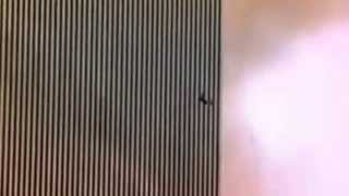 Coldplay-Beautiful World