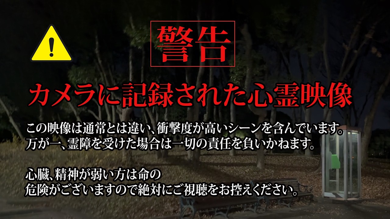 【SNS恐怖映像】SNSで話題の怖い映像　心霊映像