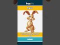 hare - an animal that looks like a... video thumbnail