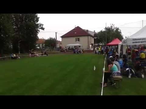 Tvrdonice 23.8.2014 - SDH Kobylí