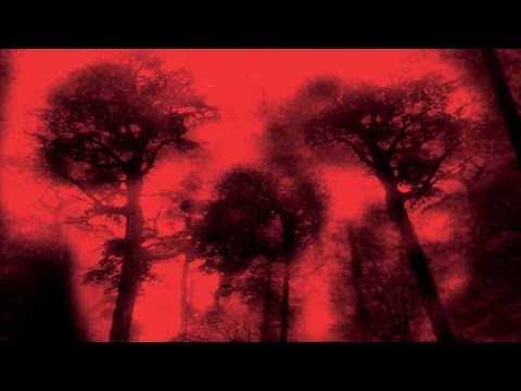 Exclusive Look at Composer Kevin Riepl Scoring Cabin Fever 2015